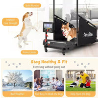 Tapis de course Costway pour chiens de petite et moyenne taille - Machine d'entraînement pour animaux de compagnie en intérieur