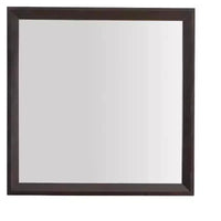 Passion Furniture 36 in. x 36 in. Classic Square Framed Dresser Mirror