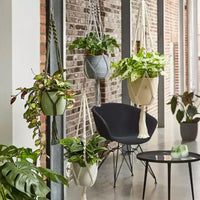 Tierra Garden 35 Macramé Support de Plante Accroché - Accent Bohème Chic, Disponible en Beige, Vert et Gris, S'adapte Parfaitement aux Pots de Fleurs d'Intérieur en Céramique de 16 cm
