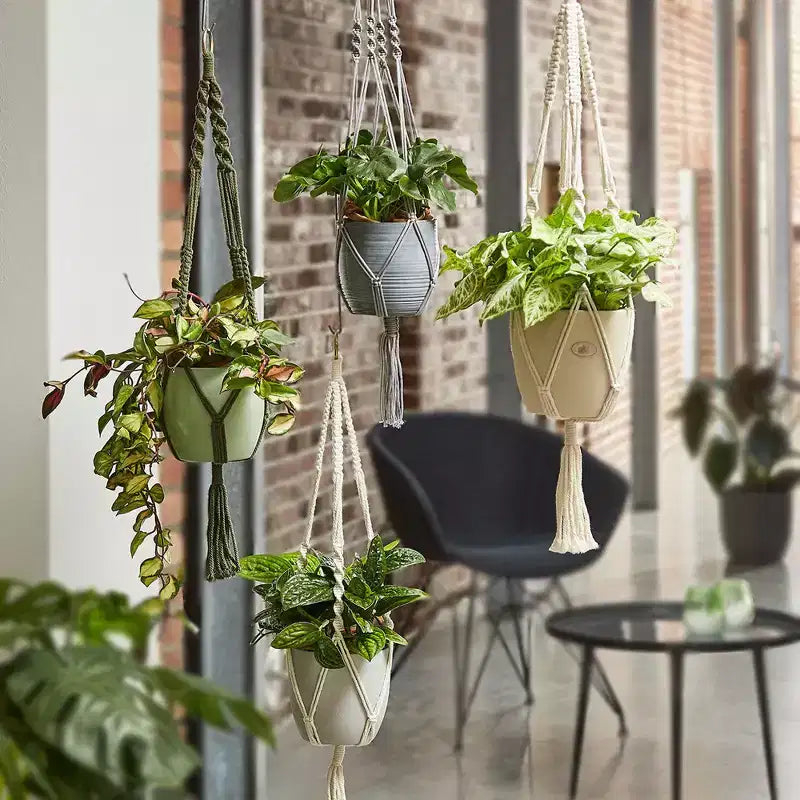 Tierra Garden 35 Macramé Support de Plante Accroché - Accent Bohème Chic, Disponible en Beige, Vert et Gris, S'adapte Parfaitement aux Pots de Fleurs d'Intérieur en Céramique de 16 cm