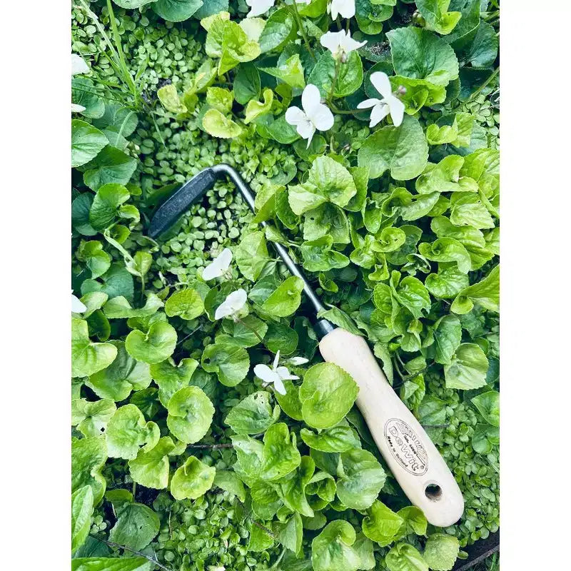 Désherbeur Tierra Garden Cape Cod – choisissez entre droitier ou gaucher