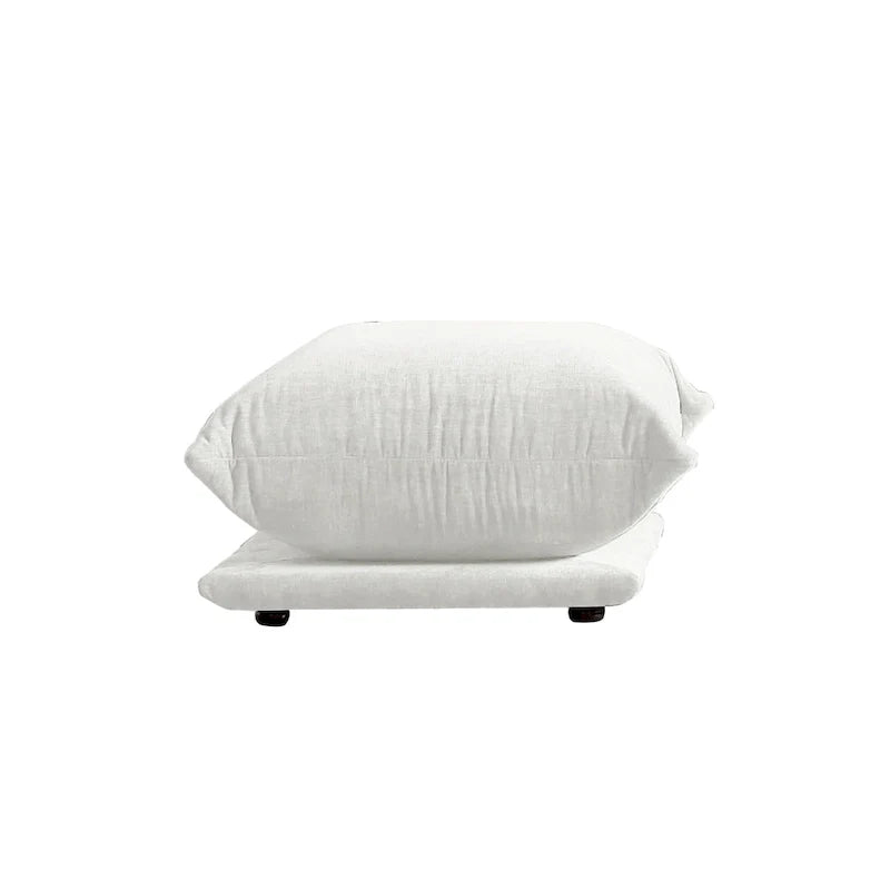 Mobilier de salon causeuse canapé canapé double assise