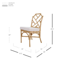 Chaise de salle à manger Kara en rotin, (Lot de 2)