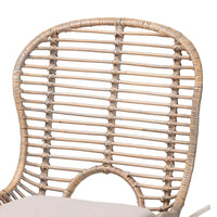Lot de 2 chaises de salle à manger Brenna en rotin et métal de style bohème moderne