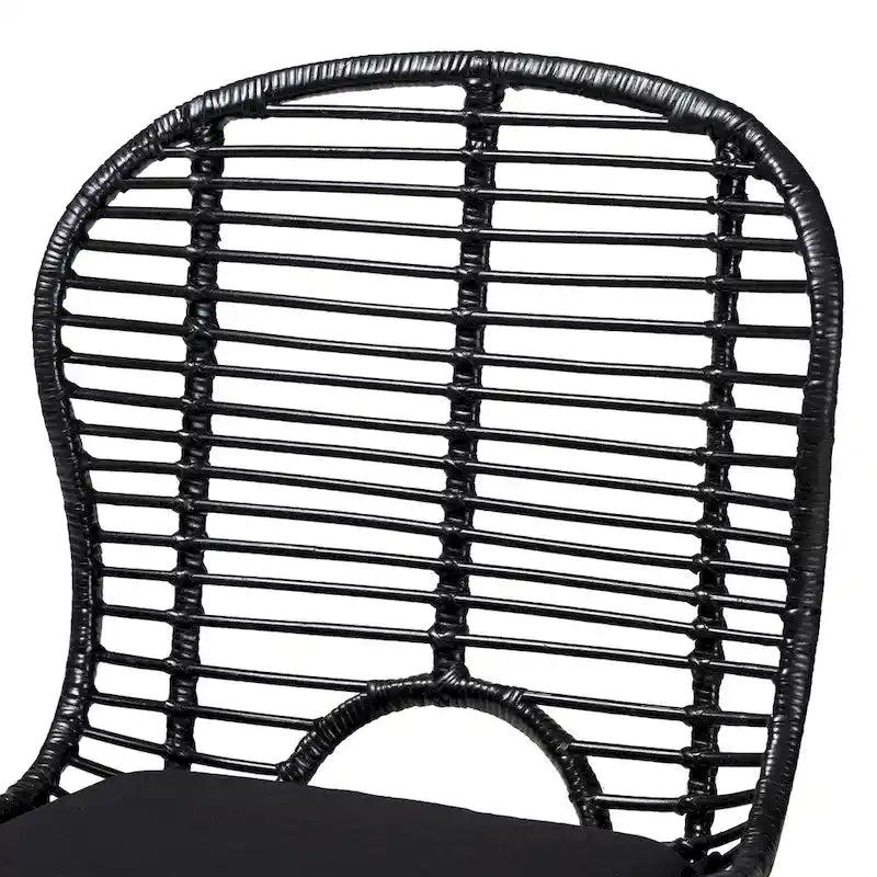Lot de 2 chaises de salle à manger Brenna en rotin et métal de style bohème moderne