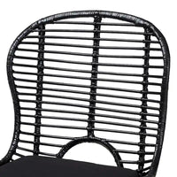 Lot de 2 chaises de salle à manger Brenna en rotin et métal de style bohème moderne