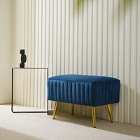 Banc d'entrée moderne CO-Z de 24 pouces, rembourré avec assise en velours