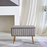 Banc d'entrée moderne CO-Z de 24 pouces, rembourré avec assise en velours