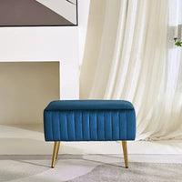 Banc d'entrée moderne CO-Z de 24 pouces, rembourré avec assise en velours