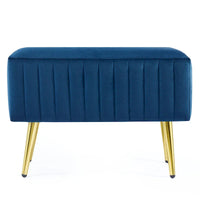 Banc d'entrée moderne CO-Z de 24 pouces, rembourré avec assise en velours