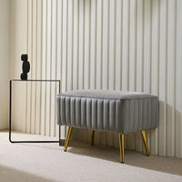 Banc d'entrée moderne CO-Z de 24 pouces, rembourré avec assise en velours