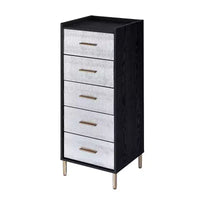 Armoires Myles 17 po - Acme Furniture : cadre métallique, rangement à bijoux 5 portes, sans montage requis
