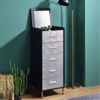 Armoires Myles 17 po - Acme Furniture : cadre métallique, rangement à bijoux 5 portes, sans montage requis