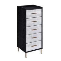 Armoires Myles 17 po - Acme Furniture : cadre métallique, rangement à bijoux 5 portes, sans montage requis