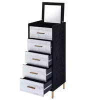 Armoires Myles 17 po - Acme Furniture : cadre métallique, rangement à bijoux 5 portes, sans montage requis