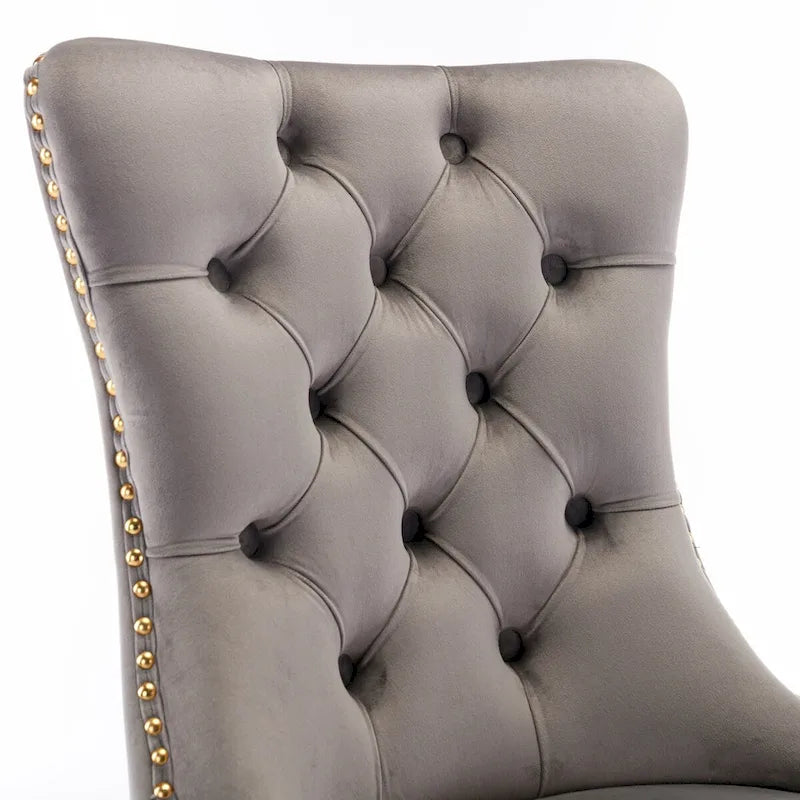 Chaise de salle à manger haut de gamme capitonnée en velours, bois massif contemporain, pieds en acier inoxydable plaqué doré, lot de 2