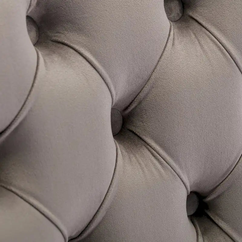 Chaise de salle à manger haut de gamme capitonnée en velours, bois massif contemporain, pieds en acier inoxydable plaqué doré, lot de 2
