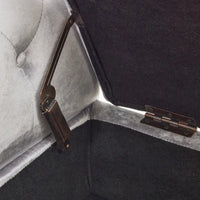 Banc coffre de rangement multifonction traditionnel en velours Xanthia avec coussin par Christopher Knight Home