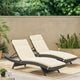Salem Ensemble de coussins d'extérieur pour méridienne - coussins uniquement (lot de 2) par Christopher Knight Home - 79.25L x 27.50l x 1.50H