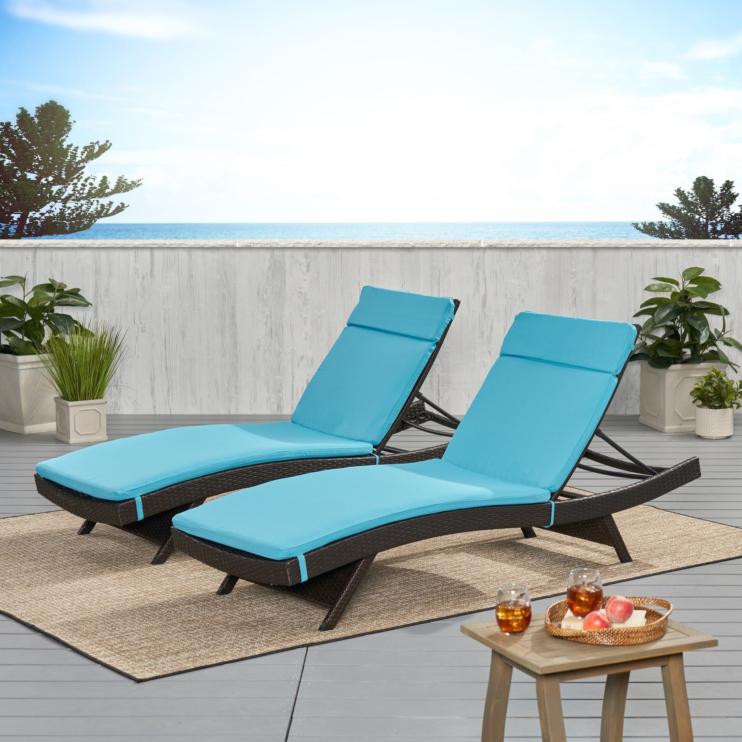 Salem Ensemble de coussins d'extérieur pour méridienne - coussins uniquement (lot de 2) par Christopher Knight Home - 79.25L x 27.50l x 1.50H