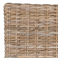 SAFAVIEH Alearda Chaise de salle à manger naturelle (lot de 2) - 23 x 24,4 x 34 - 23Wx24Dx34H